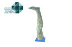 聚焦下肢血管教学｜山东聚众高仿真腿部动静